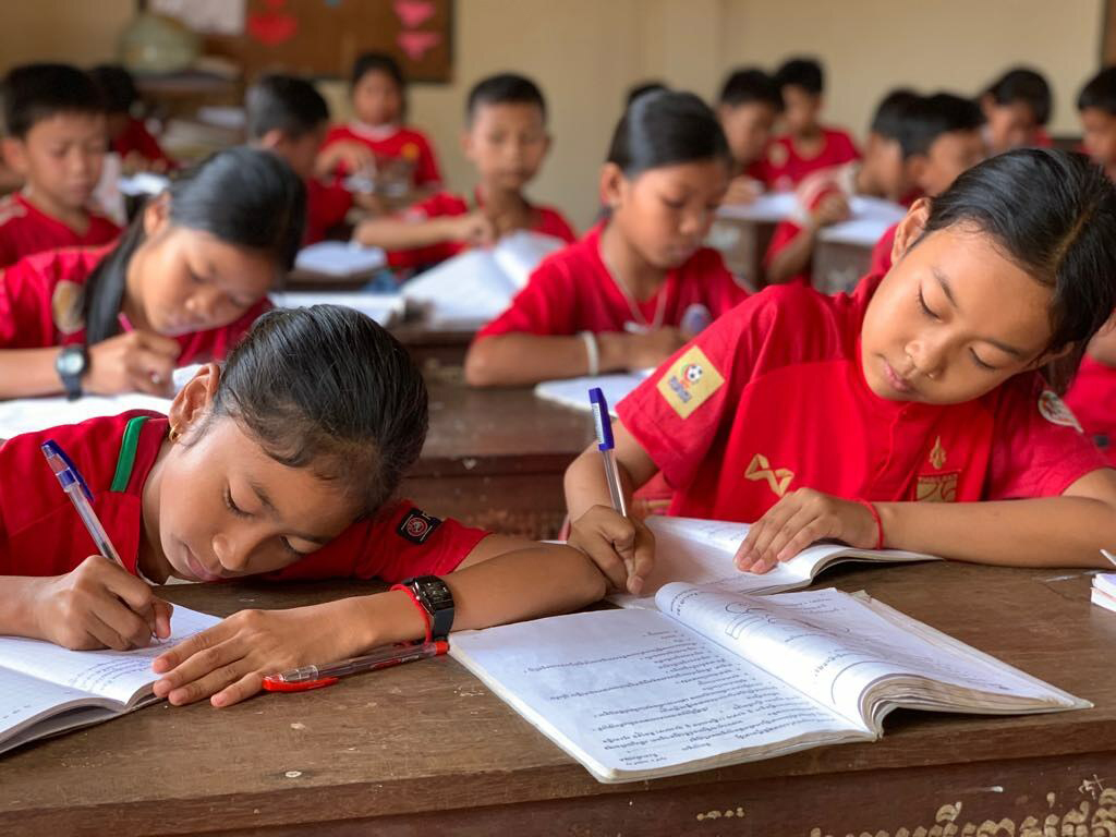 Young students studying in class