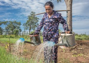 A Cambodian woman watering the garden with two watering cans on her shoulder