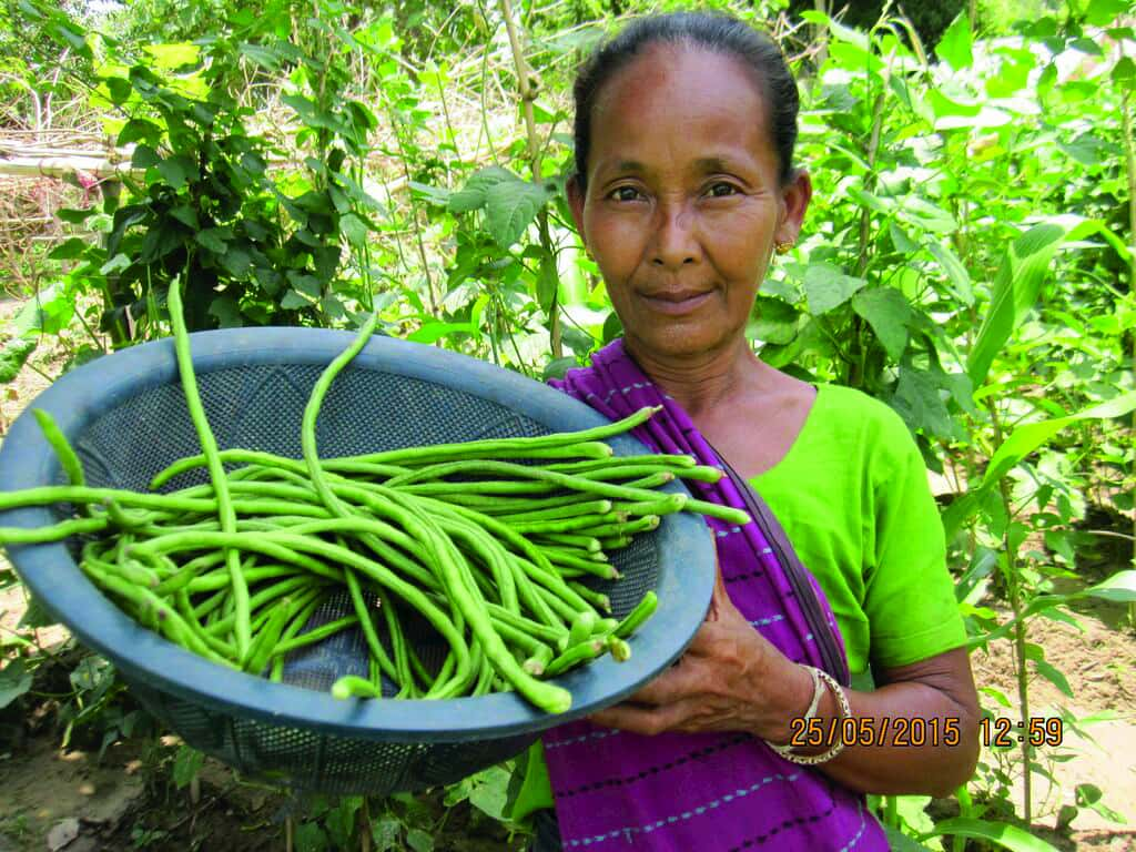 A woman is holding new harvested green vegetable