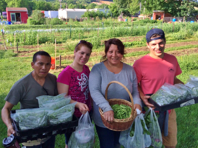 Four people holding fresh vegetables in a garden.
