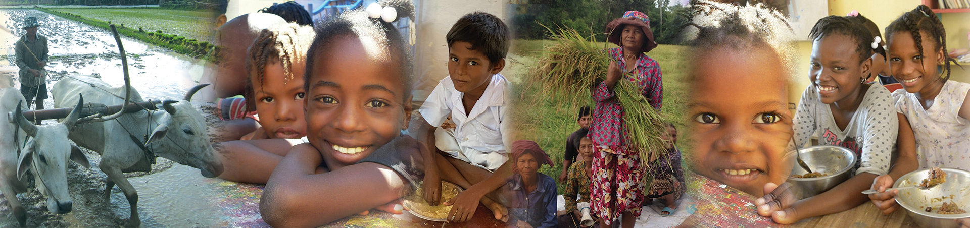 Buddhist Global Relief's homepage banner collages of a farmer working in the field, a farmer lady holding wheat, and smiling children having meals