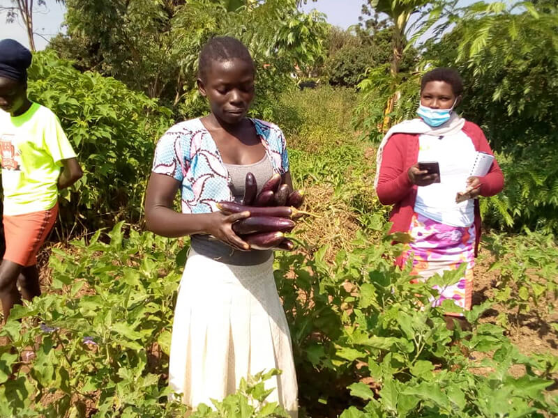Two women harvesting fresh vegetables in a green garden.