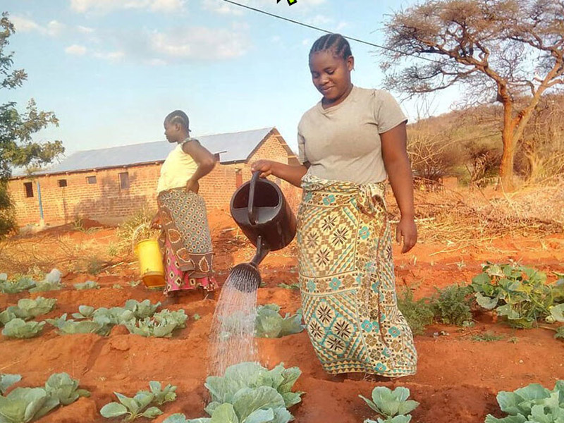 Two women tending to a vegetable garden in a rural area.