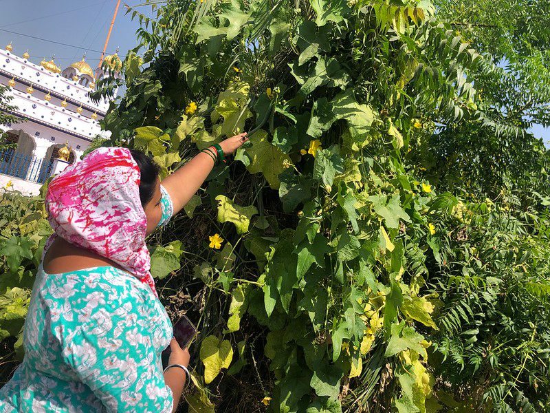 2025 Building Bridges Food