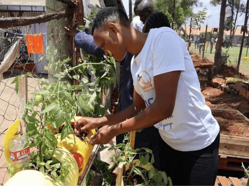 A woman tends to plants in a garden on a sunny day. A woman tends to plants in a garden on a sunny day.