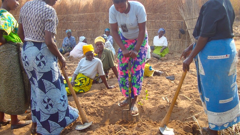 A group of women observe an agricultural demonstration in Malawi.